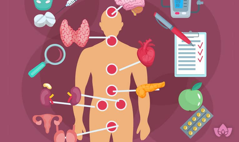 Things you have to learn about your Endocrine System | Mindful Healing | Mississauge Naturopathic Doctor