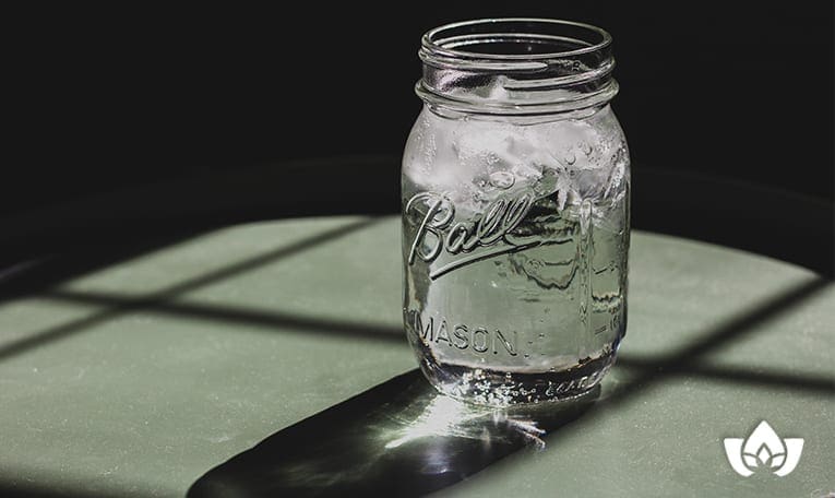 The use of water and how it can help you lose weight | Mindful Healing | Mississauge Naturopathic Doctor