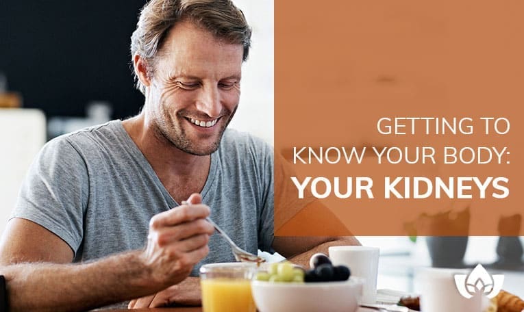 Getting To Know Your Body: Your Kidneys | Mindful Healing | Mississauga Naturopathic Doctor