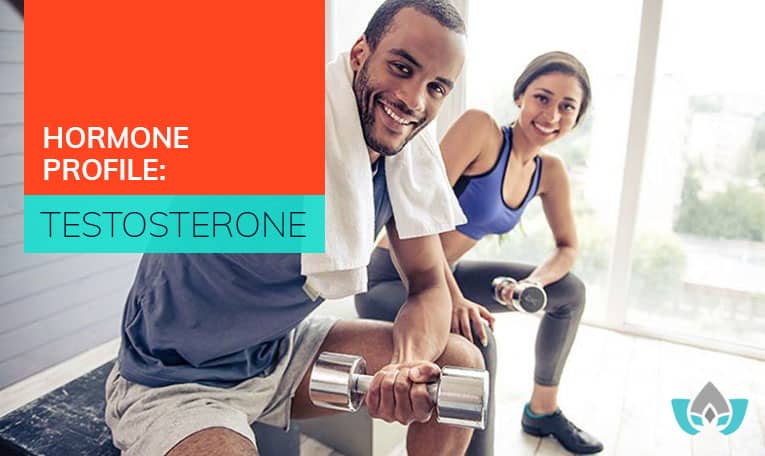 Hormone Profile: Testosterone | Mindful Healing | Mississauga Naturopathic Doctor