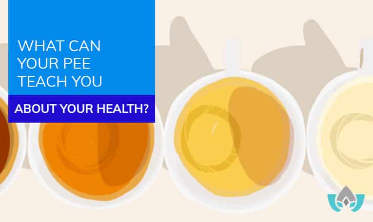 What Can Your Pee Teach You About Your Health? | Mindful Healing | Naturopathic Doctor Mississauga