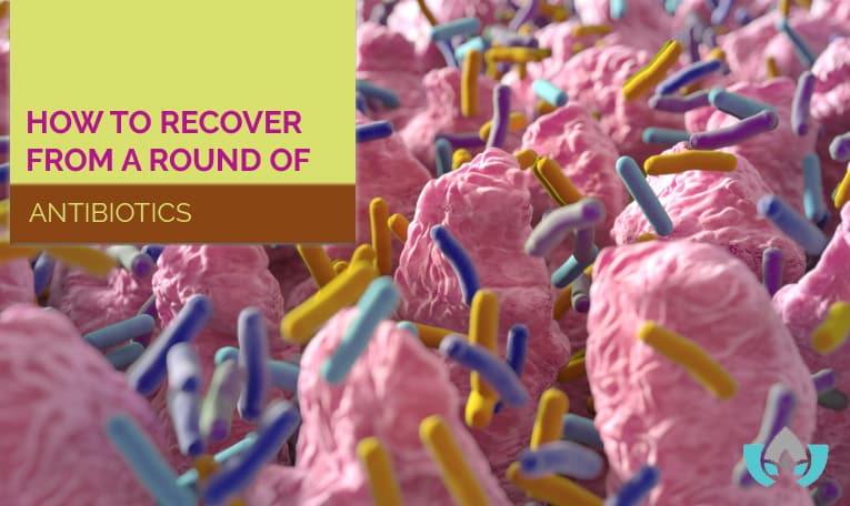 How To Recover From A Round Of Antibiotics | Mindful Healing | Naturopathic Doctor Mississauga