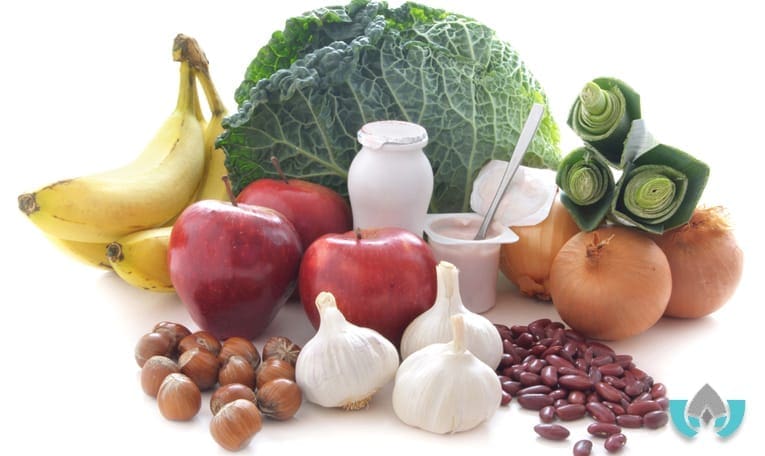 Foods to help you recover from antibiotics | Mindful Healing | Naturopathic Doctor Mississauga