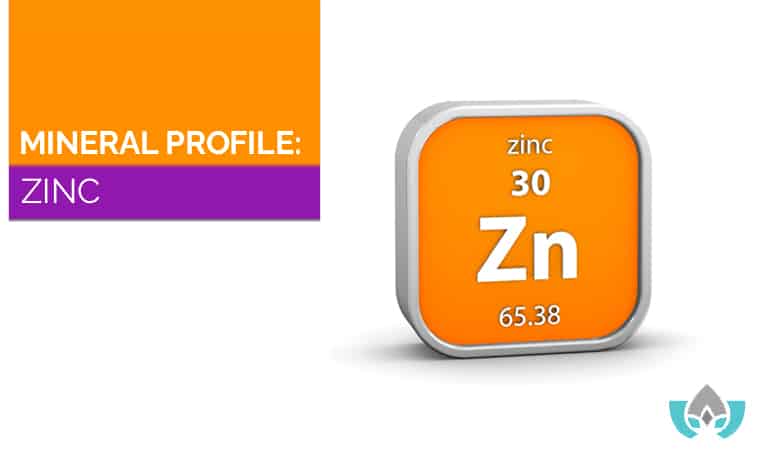 Mineral Profile: Zinc | Mindful Healing | Naturopathic Doctor Mississauga