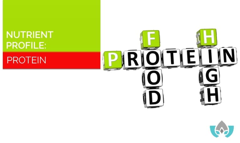 Nutrient Profile: Protein | Mindful Healing | Naturopathic Doctor Mississauga