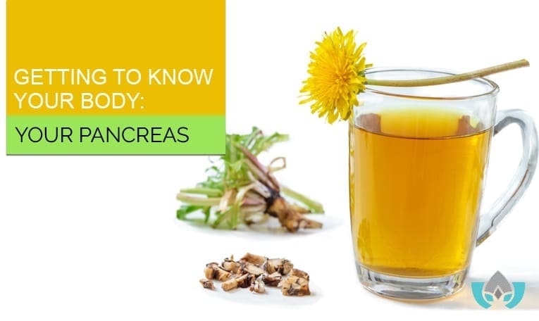 Alt Text 1: Getting To Know Your Body: Your Pancreas | Mindful Healing Clinic Dr. Maria Cavallazzi Naturopathic Doctor In Mississauga Streetsville Clinic