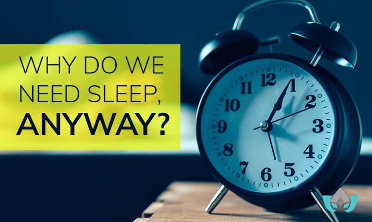 Why Do We Sleep, Anyway? | Mindful Healing | Mississauge Naturopathic Doctor