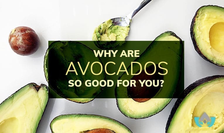 Why Are Avocados So Good For You? | Mindful Healing | Mississauge Naturopathic Doctor