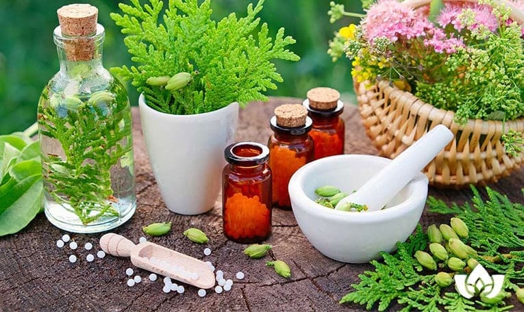 natural allergy herbal solutions | Mindful Healing | Mississauga Naturopathic Doctor