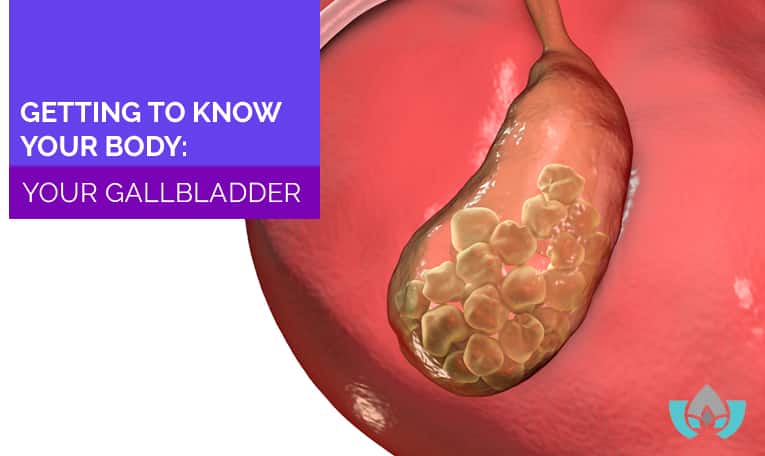 Getting To Know Your Body: Your Gallbladder | Mindful Healing | Naturopathic Doctor Mississauga