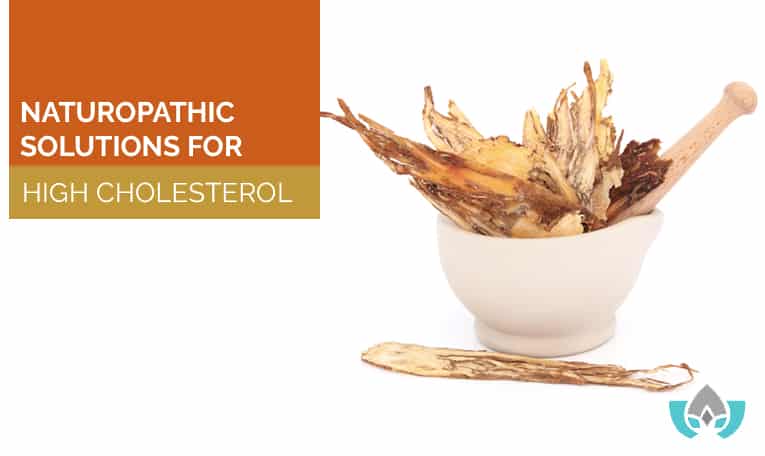Naturopathic Solutions For High Cholesterol | Mindful Healing | Naturopathic Doctor Mississauga