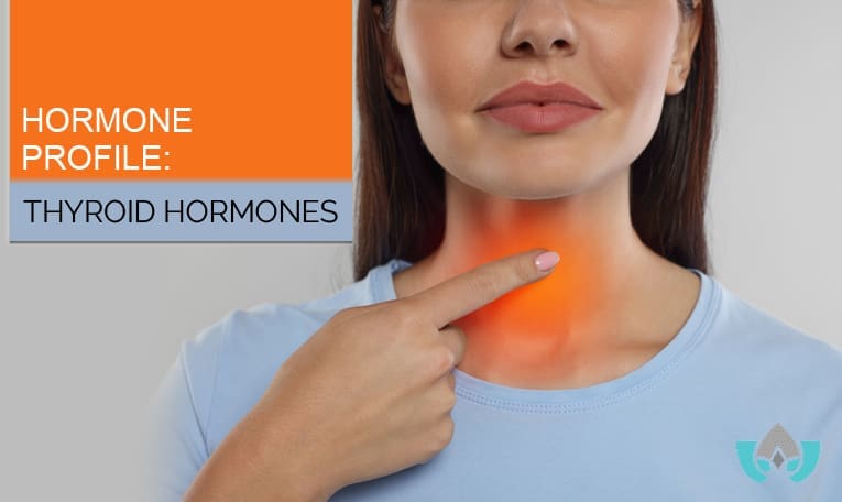 Hormone Profile: Thyroid Hormones | Mindful Healing Clinic Dr. Maria Cavallazzi Naturopathic Doctor In Mississauga Streetsville Clinic